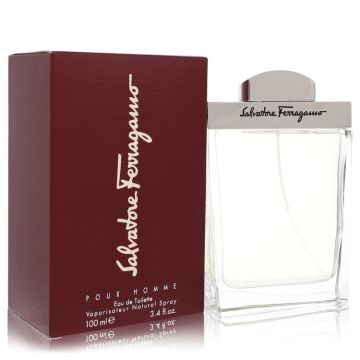 Salvatore Ferragamo  Eau de Toilette 100ml Hommes