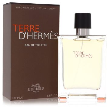 Hermes Terre D' Eau de Toilette 100ml Hommes