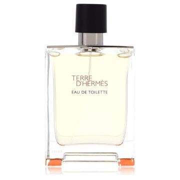 Hermes Terre D' Eau de Toilette 100ml Hommes (Tester)